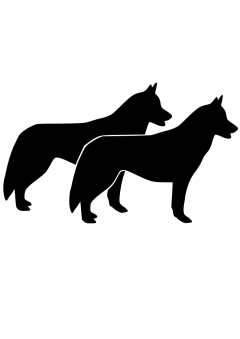 Sticker Dog Husky