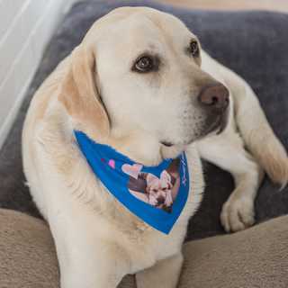 Dog bandana white with Velcro