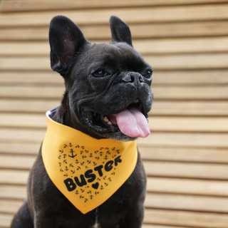 Dog bandana white with Velcro