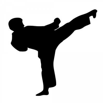Sticker Martial Arts
