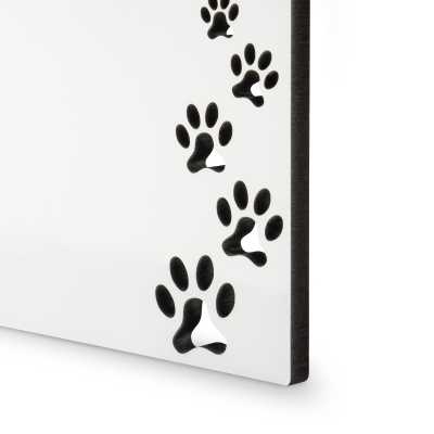 Display in paw design