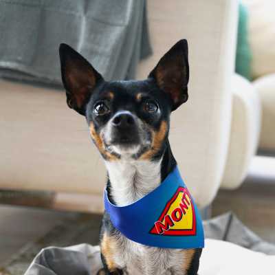 Dog bandana white with Velcro